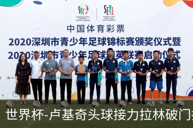世界杯-卢基奇头球接力拉林破门扳平 加拿大1-1波黑